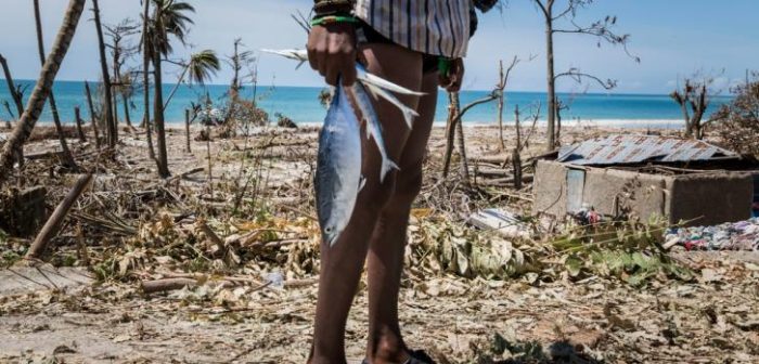 Un niño lleva pescado en una de las áreas más destruídas por el huracán Matthew, al suroeste de Haití ©Andrew McConnell/Panos Pictures