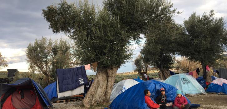 A medida que las temperaturas bajan cada día, las personas no tienen más remedio que vivir en tiendas de verano en el campamento de Moria o en el olivar cercano. ©MSF